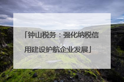 钟山税务：强化纳税信用建设护航企业发展