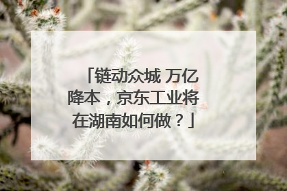 链动众城 万亿降本，京东工业将在湖南如何做？