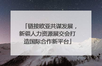 链接欧亚共谋发展，新疆人力资源展交会打造国际合作新平台