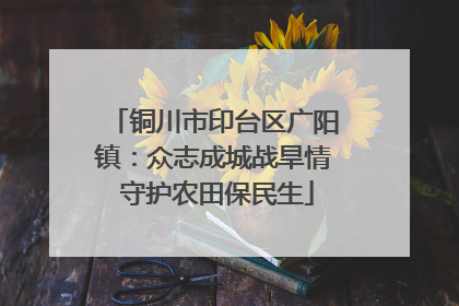 铜川市印台区广阳镇：众志成城战旱情 守护农田保民生