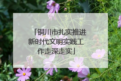 铜川市扎实推进新时代文明实践工作走深走实