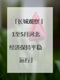 长城观察丨1至5月河北经济保持平稳运行