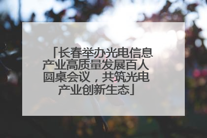 长春举办光电信息产业高质量发展百人圆桌会议，共筑光电产业创新生态