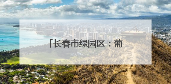 长春市绿园区：葡萄园里绿意浓 “紫色经济”焕新枝