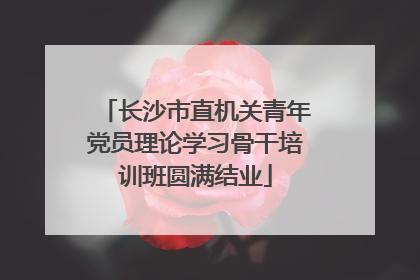 长沙市直机关青年党员理论学习骨干培训班圆满结业