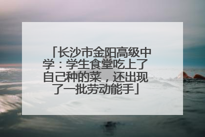 长沙市金阳高级中学：学生食堂吃上了自己种的菜，还出现了一批劳动能手