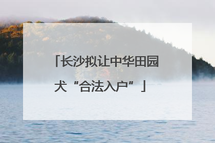 长沙拟让中华田园犬“合法入户”
