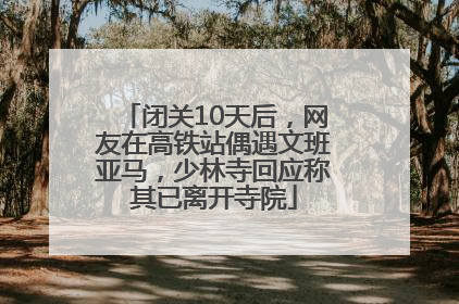 闭关10天后，网友在高铁站偶遇文班亚马，少林寺回应称其已离开寺院