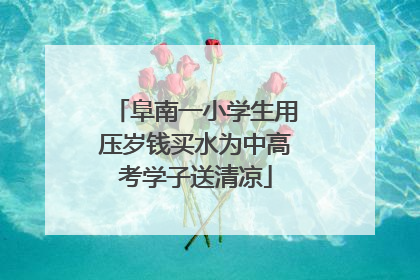 阜南一小学生用压岁钱买水为中高考学子送清凉