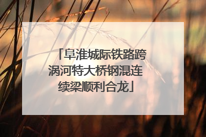 阜淮城际铁路跨涡河特大桥钢混连续梁顺利合龙