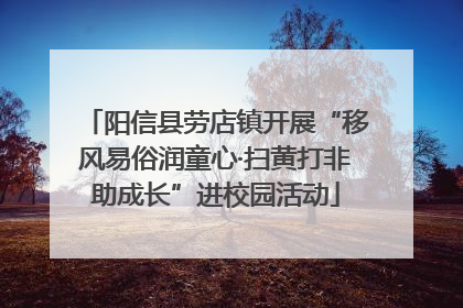 阳信县劳店镇开展“移风易俗润童心·扫黄打非助成长”进校园活动