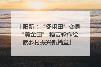 阳新：“冬闲田”变身“黄金田” 稻麦轮作绘就乡村振兴新篇章