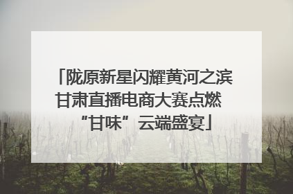 陇原新星闪耀黄河之滨 甘肃直播电商大赛点燃“甘味”云端盛宴
