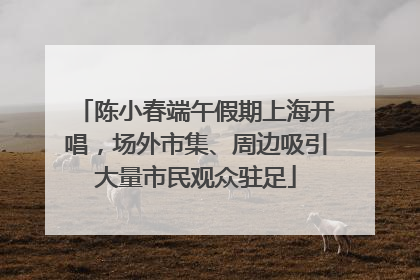 陈小春端午假期上海开唱，场外市集、周边吸引大量市民观众驻足