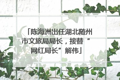 陈海洲出任湖北随州市文旅局局长，接替“网红局长”解伟