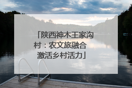 陕西神木王家沟村：农文旅融合 激活乡村活力