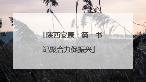 陕西安康：第一书记聚合力促振兴