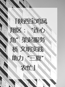 陕西宝鸡凤翔区：“连心角”架起服务桥 文明实践助力“三夏”农忙