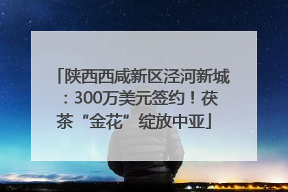 陕西西咸新区泾河新城：300万美元签约！茯茶“金花”绽放中亚