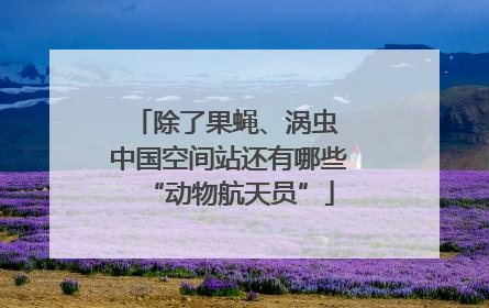 除了果蝇、涡虫 中国空间站还有哪些“动物航天员”