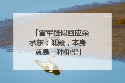 雷军疑似回应余承东：诋毁，本身就是一种仰望