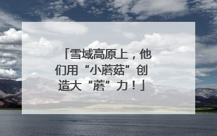 雪域高原上，他们用“小蘑菇”创造大“蘑”力！