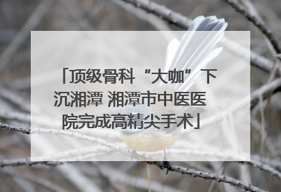 顶级骨科“大咖”下沉湘潭 湘潭市中医医院完成高精尖手术