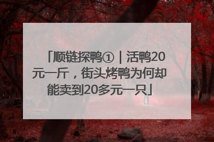 顺链探鸭①｜活鸭20元一斤，街头烤鸭为何却能卖到20多元一只