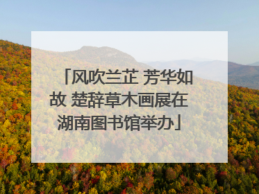 风吹兰芷 芳华如故 楚辞草木画展在湖南图书馆举办