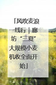 风吹麦浪一线行｜廊坊“三夏”大规模小麦机收全面开始