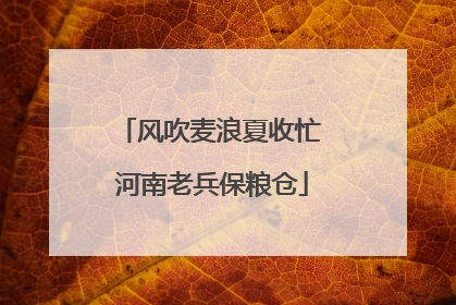 风吹麦浪夏收忙 河南老兵保粮仓