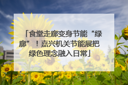 食堂走廊变身节能“绿廊”！嘉兴机关节能展把绿色理念融入日常
