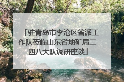 驻青岛市李沧区省派工作队莅临山东省地矿局二四八大队调研座谈