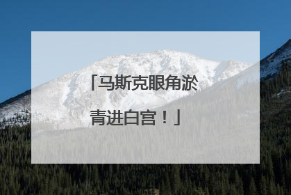 马斯克眼角淤青进白宫！