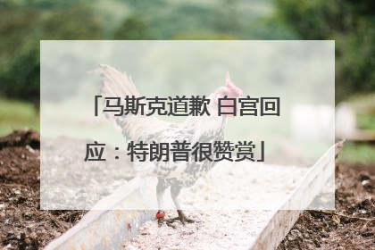 马斯克道歉 白宫回应：特朗普很赞赏