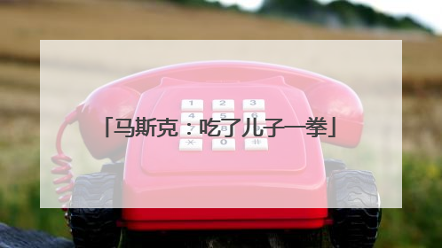 马斯克：吃了儿子一拳