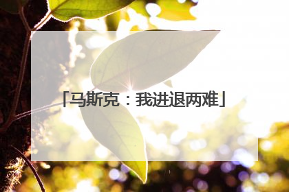 马斯克：我进退两难