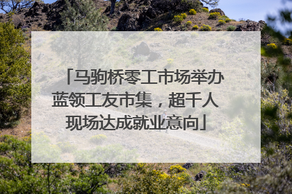 马驹桥零工市场举办蓝领工友市集，超千人现场达成就业意向