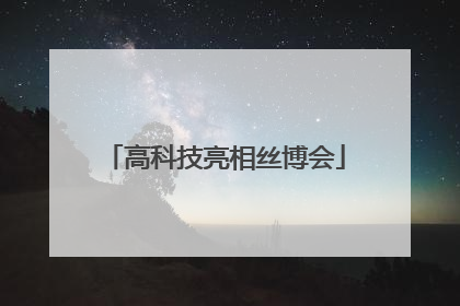 高科技亮相丝博会