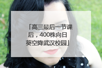 高三最后一节课后，400株向日葵空降武汉校园