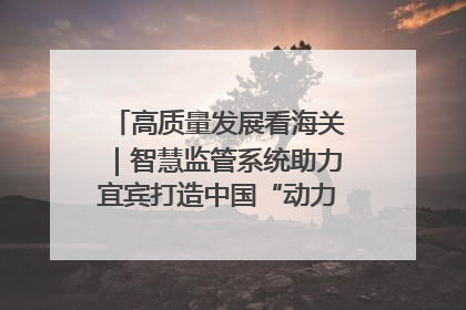 高质量发展看海关｜智慧监管系统助力宜宾打造中国“动力电池之都”