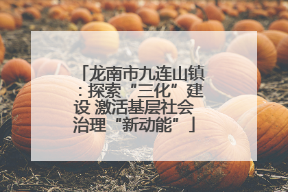 龙南市九连山镇：探索“三化”建设 激活基层社会治理“新动能”