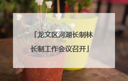 龙文区河湖长制林长制工作会议召开