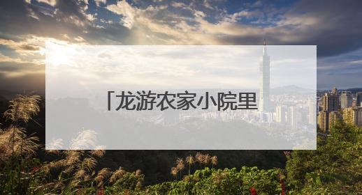 龙游农家小院里有新“养鱼经”