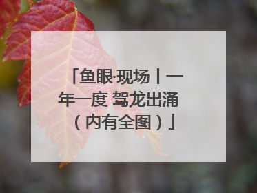鱼眼·现场丨一年一度 驾龙出涌（内有全图）