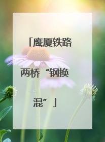 鹰厦铁路两桥“钢换混”