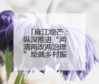 麻江坝芒：纵深推进“两清两改两治理”绘就乡村振兴新图景