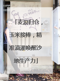 麦浪归仓，玉米接棒，精准滴灌唤醒沙地生产力