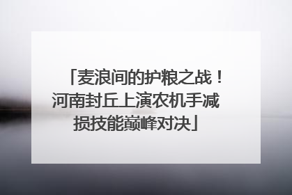 麦浪间的护粮之战！河南封丘上演农机手减损技能巅峰对决