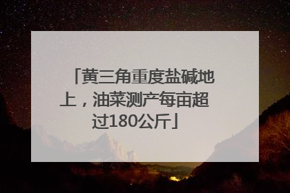 黄三角重度盐碱地上，油菜测产每亩超过180公斤